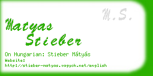 matyas stieber business card